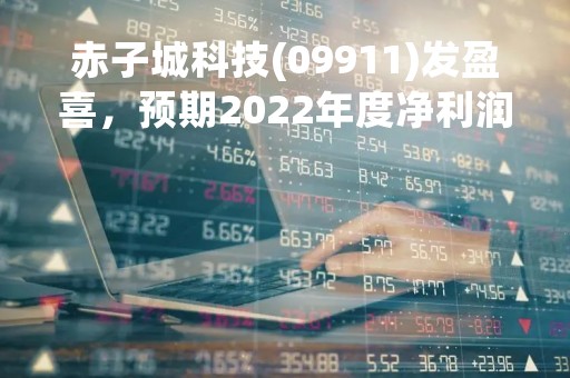 赤子城科技(09911)发盈喜，预期2022年度净利润同比增长约167%至178%