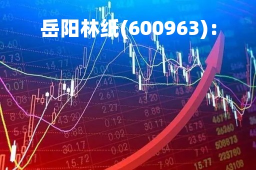 岳阳林纸(600963)：