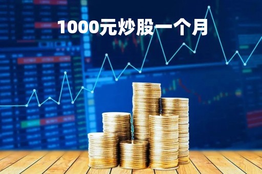 1000元炒股一个月