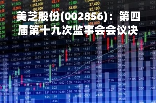 美芝股份(002856)：第四届第十九次监事会会议决议，审议关于向关联方借款暨关联交易的议案