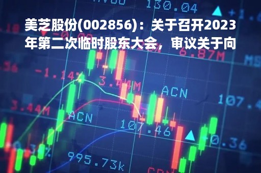 美芝股份(002856)：关于召开2023年第二次临时股东大会，审议关于向关联方借款暨关联交易的议案