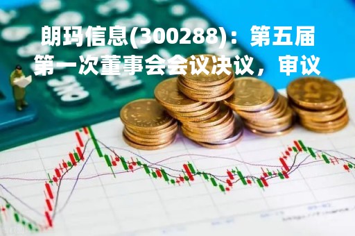 朗玛信息(300288)：第五届第一次董事会会议决议，审议6项议案获通过
