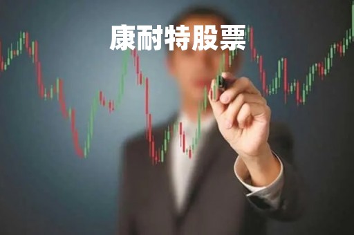 康耐特股票