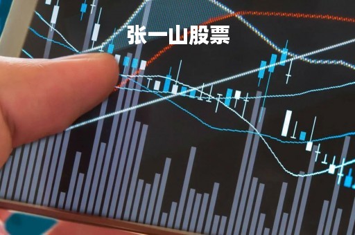 张一山股票