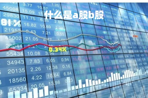 什么是a股b股