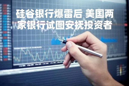 硅谷银行爆雷后 美国两家银行试图安抚投资者