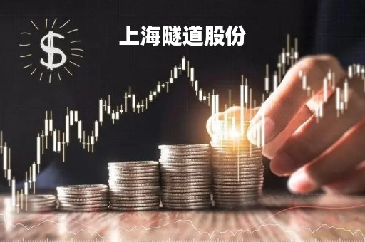 上海隧道股份