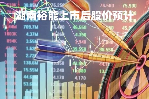 湖南裕能上市后股价预计