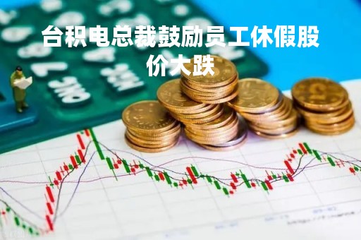 台积电总裁鼓励员工休假股价大跌
