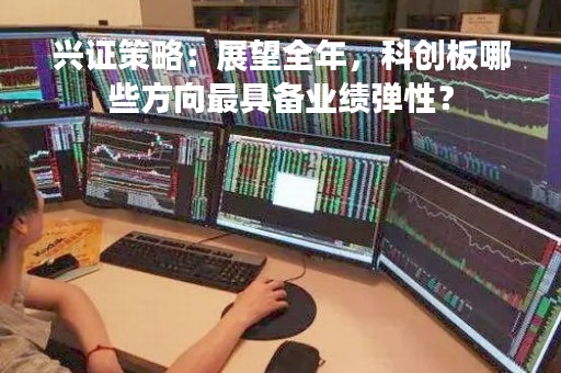 兴证策略：展望全年，科创板哪些方向最具备业绩弹性？