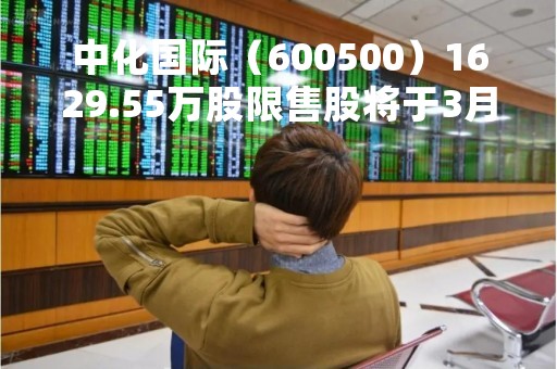 中化国际（600500）1629.55万股限售股将于3月13日解禁上市，占总股本0.45%