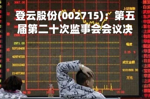 登云股份(002715)：第五届第二十次监事会会议决议，审议关于续聘会计师事务所的议案
