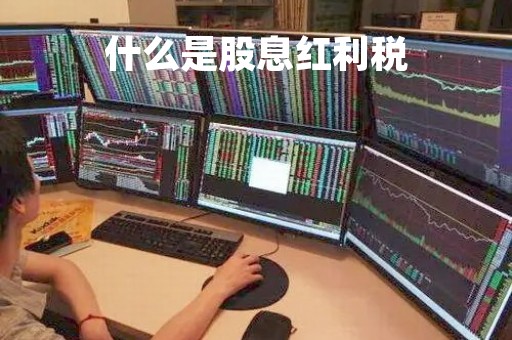 什么是股息红利税