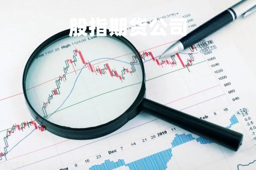 股指期货公司