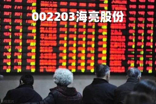 002203海亮股份