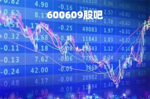600609股吧