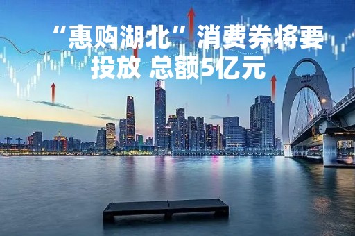 “惠购湖北”消费券将要投放 总额5亿元