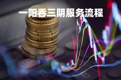 一阳吞三阴服务流程