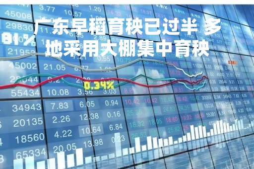 广东早稻育秧已过半 多地采用大棚集中育秧
