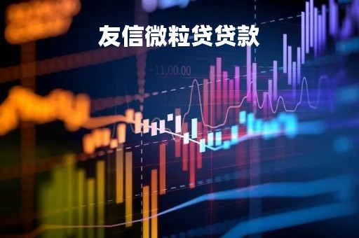 友信微粒贷贷款