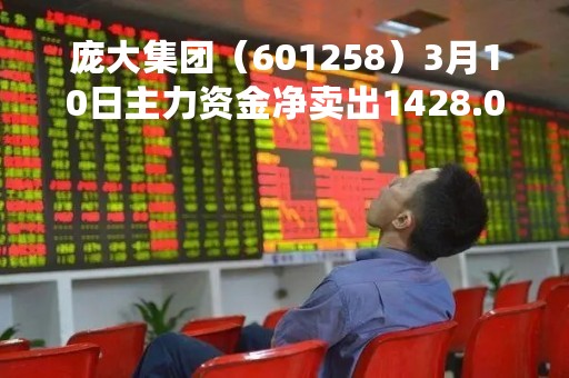 庞大集团（601258）3月10日主力资金净卖出1428.08万元