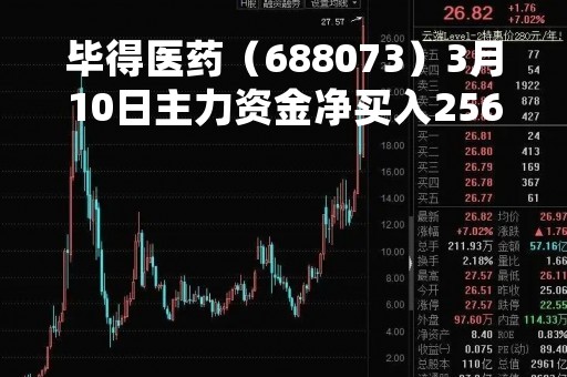 毕得医药（688073）3月10日主力资金净买入256.56万元
