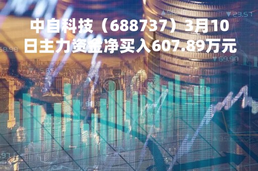中自科技（688737）3月10日主力资金净买入607.89万元