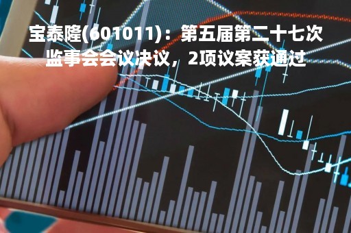 宝泰隆(601011)：第五届第二十七次监事会会议决议，2项议案获通过