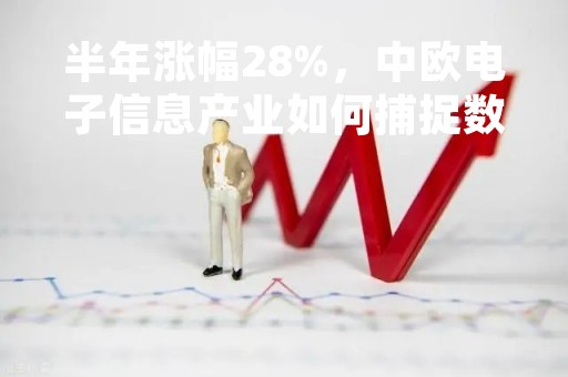 半年涨幅28%，中欧电子信息产业如何捕捉数字经济赛道机会？