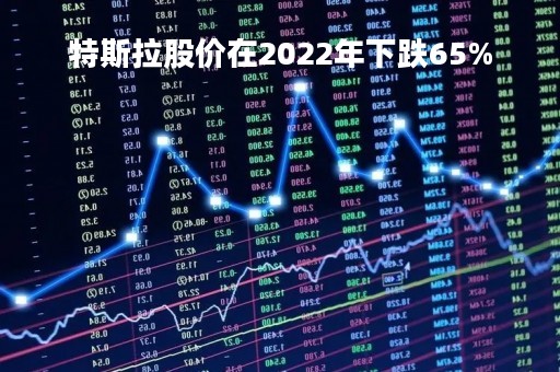特斯拉股价在2022年下跌65%
