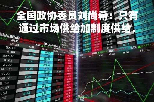 全国政协委员刘尚希：只有通过市场供给加制度供给，才能扩大内需