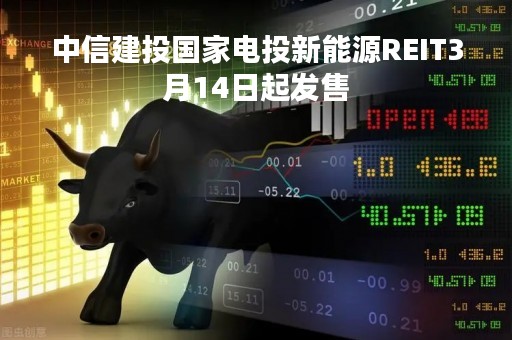 中信建投国家电投新能源REIT3月14日起发售