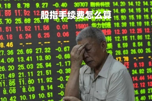 股指手续费怎么算