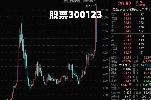 股票300123