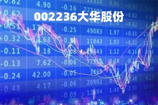 002236大华股份