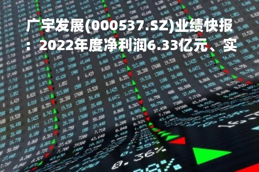 广宇发展(000537.SZ)业绩快报：2022年度净利润6.33亿元、实现扭亏为盈