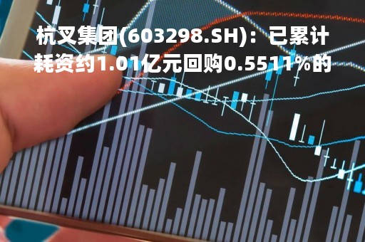 杭叉集团(603298.SH)：已累计耗资约1.01亿元回购0.5511%的股份