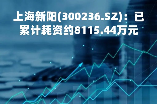 上海新阳(300236.SZ)：已累计耗资约8115.44万元回购0.84%的股份