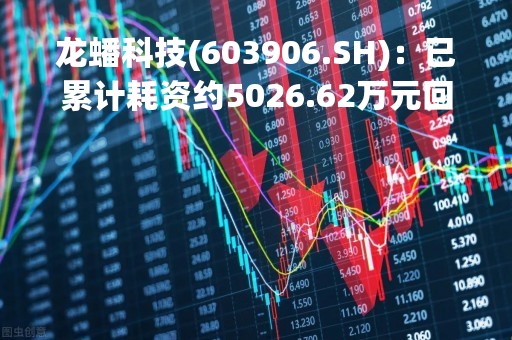 龙蟠科技(603906.SH)：已累计耗资约5026.62万元回购0.37%的股份