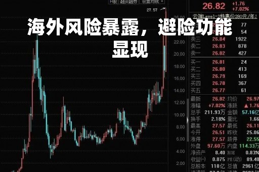 海外风险暴露，避险功能显现