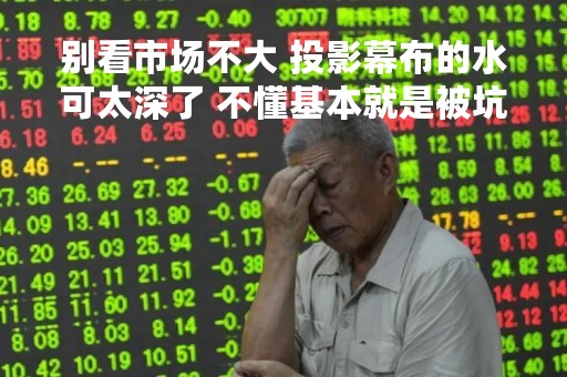别看市场不大 投影幕布的水可太深了 不懂基本就是被坑