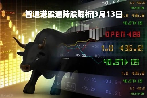 智通港股通持股解析|3月13日