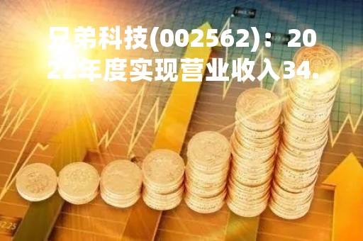 兄弟科技(002562)：2022年度实现营业收入34.13亿元，同比增加24.9%