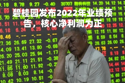 碧桂园发布2022年业绩预告，核心净利润为正