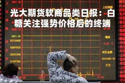 光大期货软商品类日报：白糖关注强势价格后的终端消费