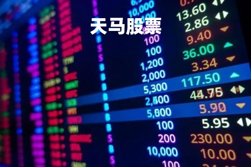 天马股票