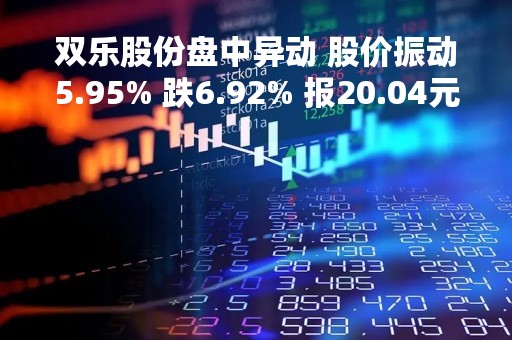 双乐股份盘中异动 股价振动5.95% 跌6.92% 报20.04元