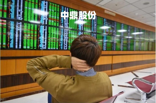 中鼎股份