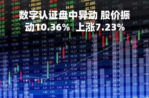 数字认证盘中异动 股价振动10.36%  上涨7.23%