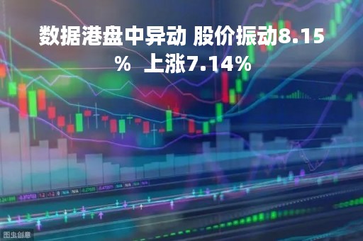 数据港盘中异动 股价振动8.15%  上涨7.14%